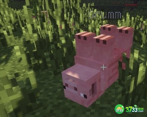 我的世界让生物倒过来的命名牌怎么弄_MC让生物倒过来的命名牌制作方法