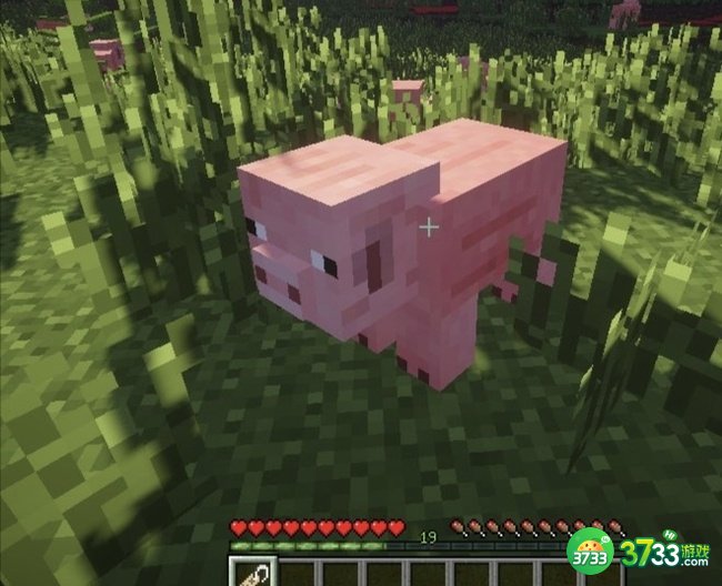 我的世界让生物倒过来的命名牌怎么弄_MC让生物倒过来的命名牌制作方法