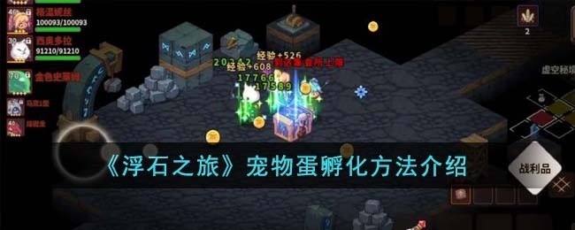 浮石之旅宠物蛋怎么孵化-宠物蛋孵化方法介绍