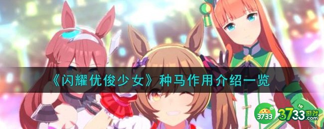闪耀优俊少女种马有什么用-种马作用介绍一览