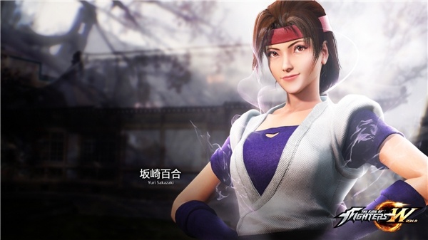 拳皇世界社团怎么建立_社团玩法介绍