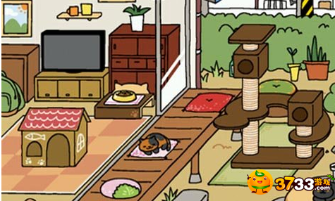 猫咪后院怎么扩建_院子扩建方法