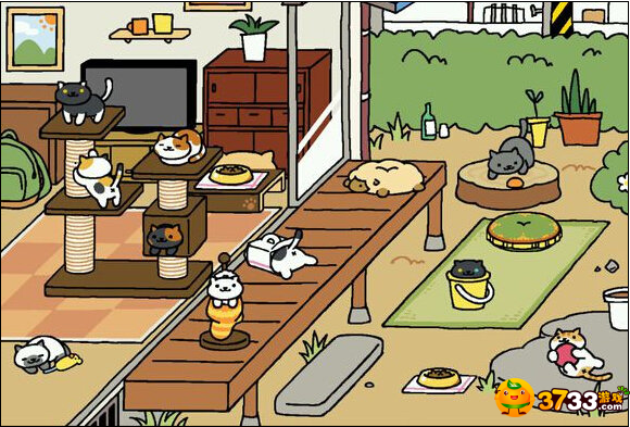 猫咪后院金鱼干怎么获取_猫咪后院金鱼干获取途径汇总