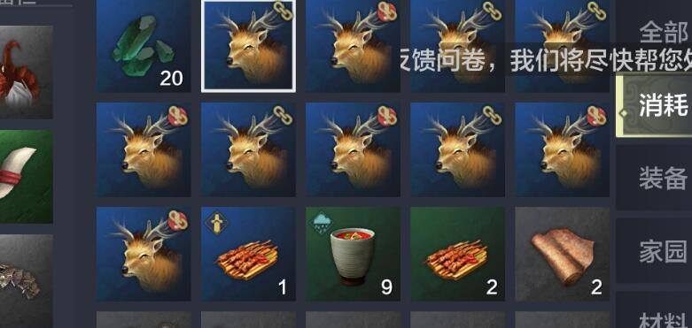 妄想山海宠物进化路线推荐