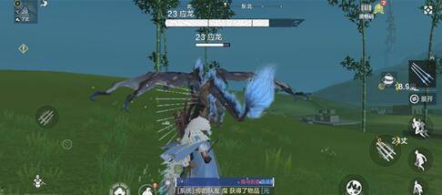 妄想山海应龙怎么捕捉成宠物