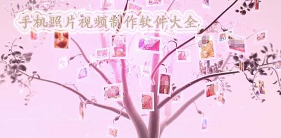 照片视频
