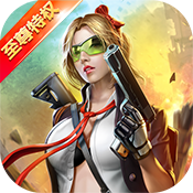 王者英雄之枪战传奇（至尊特权）独家礼包