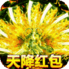 传奇国度（天降红包）特权礼包