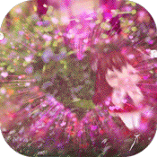 >三国闪（送328充值）