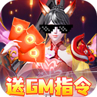 刺客（送GM指令）专属礼包