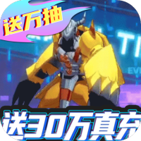 小黑的宝藏（送30万真充）至尊礼包