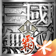 真三国无双5