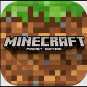 我的世界国际版