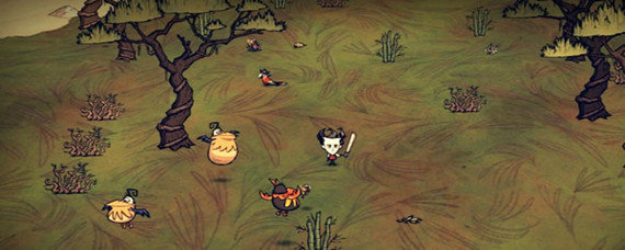 饥荒海难鹈鹕怎么找