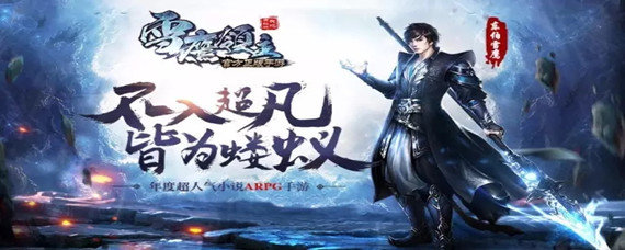 雪鹰领主是什么类型的游戏