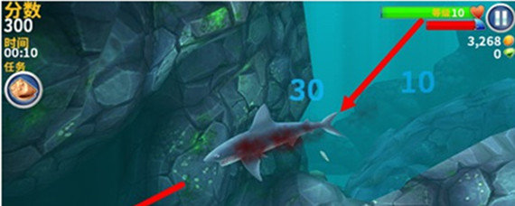 饥饿鲨海洋巨人在哪