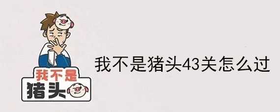 我不是猪头43关怎么过