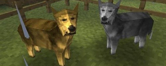 生存战争怎么驯服狼