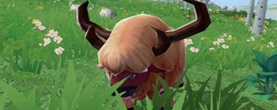 创造与魔法陆行鸟刷新时间是多久