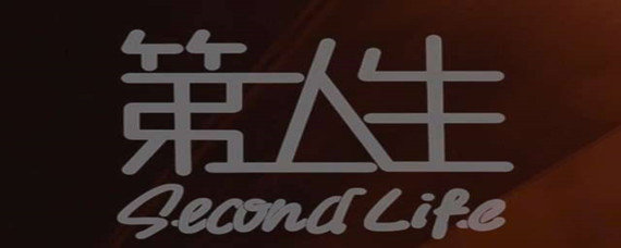 第二人生如何养情人