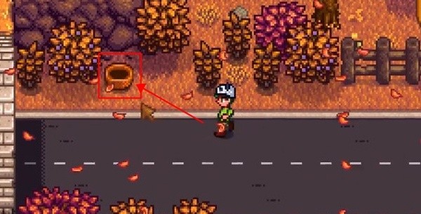 星露谷物语莱纳斯的黑莓篮子在哪里-莱纳斯的黑莓篮子位置介绍