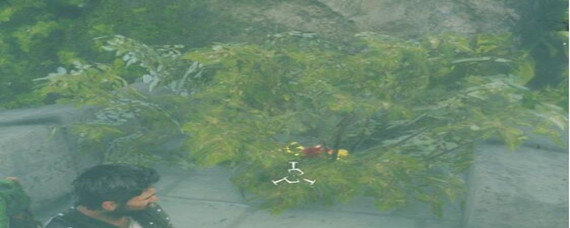 正当防卫4隐藏武器在哪