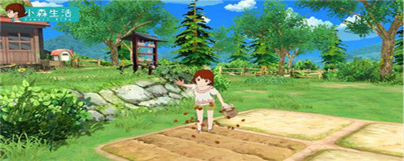 小森生活怎么获得农田