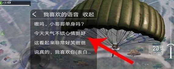 刺激战场语音包在哪里设置