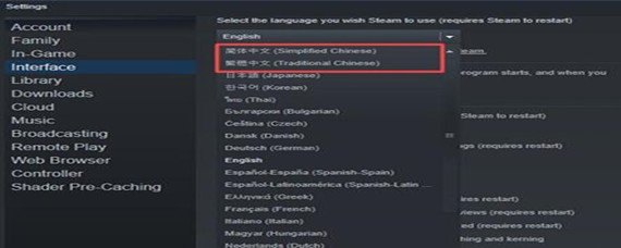 拾荒者中文怎么设置