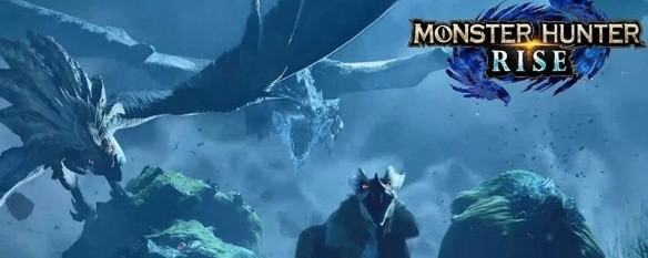 怪物猎人崛起上位是几星