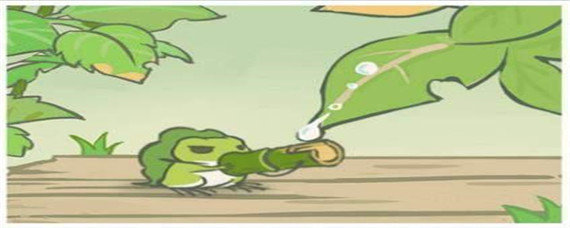 旅行青蛙中国之旅猫头鹰吃什么