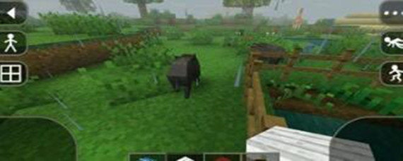 生存战争腐肉怎么变成肥料