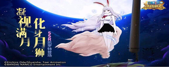 航海王燃烧意志凯罗特值不值得抽