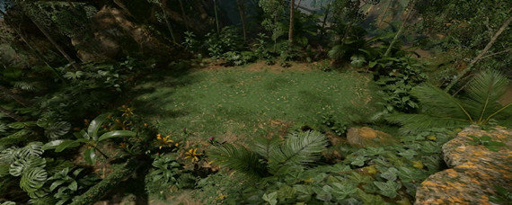 绿色地狱巴西坚果壳怎么得到