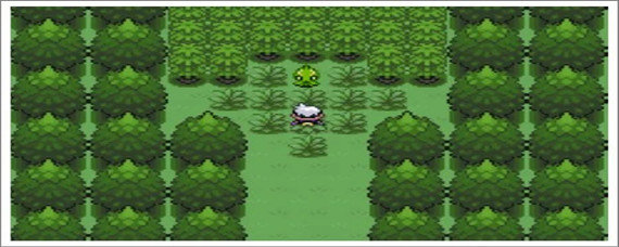 口袋妖怪决心飞空术在哪里获得