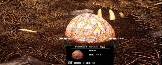 方舟在野外捡的蛋怎么孵化