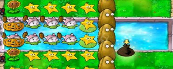 植物大战僵尸猫尾草怎么种