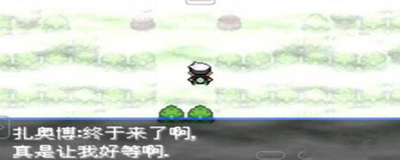 口袋妖怪究极绿宝石5迷途之森怎么走