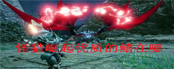 怪猎崛起优质的鳍在哪