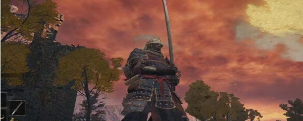 老头环怎么双手拿一把武器