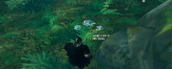 英灵神殿胡萝卜种子怎么获得