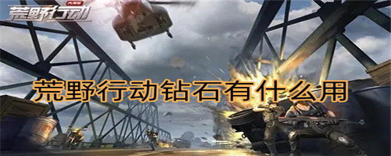 荒野行动钻石有什么用