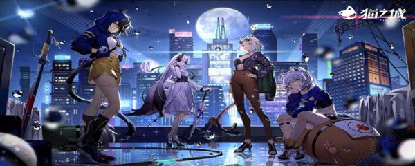 猫之城怎么提高好感度