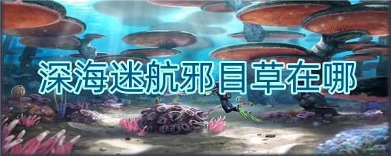 深海迷航邪目草在哪