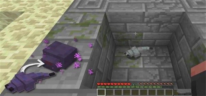 我的世界手游末影螨怎么才能生成-末影螨生成条件一览