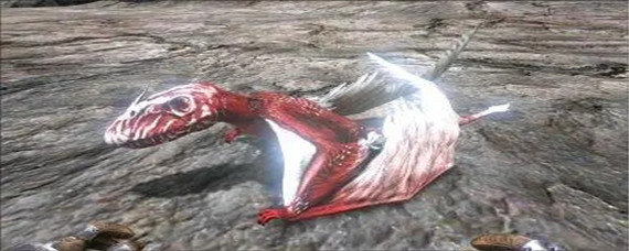 方舟双型齿翼龙有啥用