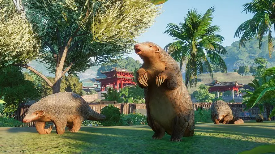 动物园之星动物为什么经常打架-动物打架原因解析