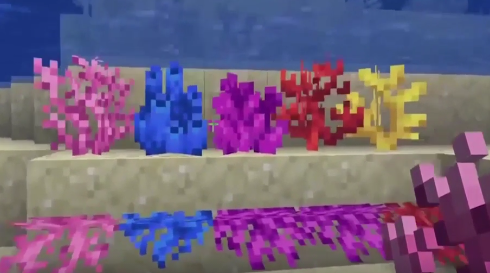 我的世界珊瑚怎么挖-怎么让珊瑚块不失活