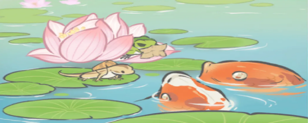 旅行青蛙怎么让青蛙带女朋友回家