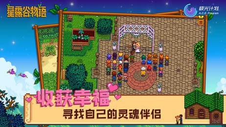 星露谷物语破解内置菜单游戏截图3